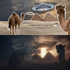 two pictures with camels and aliens in the desert, one has a flying saucer