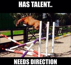 a horse jumping over an obstacle with the caption'has talent needs direction '