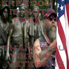 a man standing next to a statue with an american flag in front of him and the words, freedom is not free thank you vietnam veterans