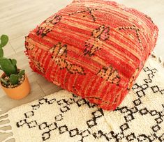 a small cactus sitting on top of a rug next to a red pillow and potted plant