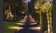 a street lined with trees and bushes next to a lush green park filled with palm trees