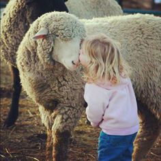 We could all use a little sweetness today. #sheep Regnul Animal, A Sheep, Down On The Farm, E Card, Sweet Animals, Animal Love, On The Farm, Love Animals, 귀여운 동물