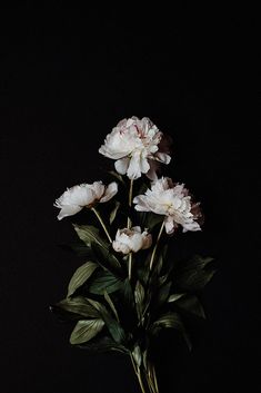 some white flowers are in a vase on a black tablecloth with green leaves and dark background