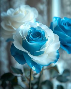 two blue and white roses in a vase