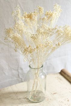 dried flowers in a glass vase on a table