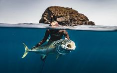 a man on a surfboard with a big fish in the water next to him