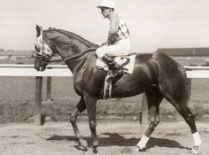 a man riding on the back of a brown horse