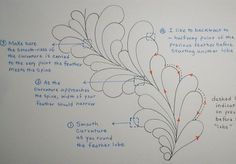 the diagram shows how to make a feather like plant