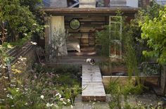 a dog is sitting in the garden next to a wooden walkway leading up to a shed