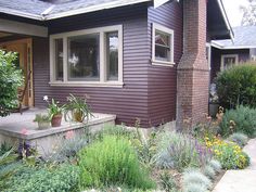 a house with lots of plants in front of it and a sidewalk leading up to the door