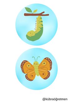 two pictures with the same butterfly and caterpillar on them