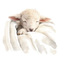 a baby lamb is sleeping on a white blanket with his head tucked under the covers