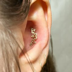 a woman wearing gold ear piercings on her left ear with an ornate design in the middle