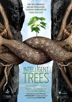 the cover of intelligent trees by peter wolben