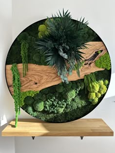 a wooden table topped with lots of green plants next to a wall mounted planter