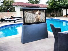 an outdoor movie screen next to a swimming pool