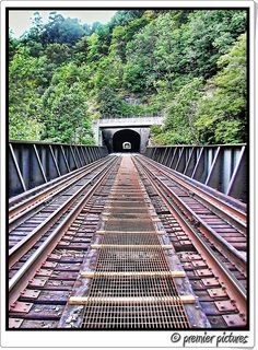 an old train track going into a tunnel in the mountains with trees on both sides