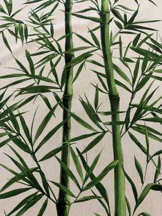 a painting of bamboo trees on a white background