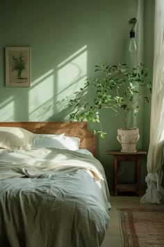 a bed sitting in a bedroom next to a window with sunlight coming through the windows