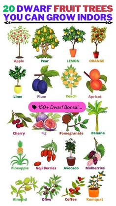 an illustrated poster showing different types of fruit trees