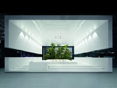 an empty white room with plants in the center