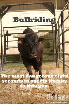 a bull is running through an enclosure with the caption, building the most dangerous eight seconds in sports thanks to this guy