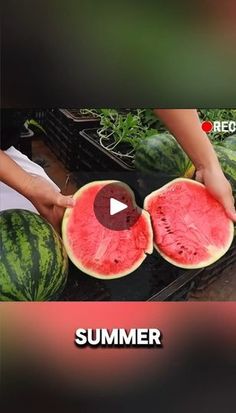 two people cutting up watermelon in the middle of a table with text reading, summer