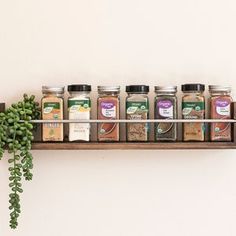 a shelf with spices and herbs on it