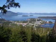 an aerial view of a small town in the middle of a lake surrounded by trees