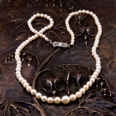 A beautiful set of Japanese, Akoya cultured 17 inch long pearl necklace consisting of a series of 103 pearls ranging in size from approx. 2.9mm diameter at the back to 6mm diameter at the centre.  Near round ,near round and semi baroque shapes, very light cream colour with fair to good lustre, thick to very thick nacre (older production), clean to slightly blemished and very well matched. 14k white gold  rectangular filigree clasp stamped Birks, total weight 8.9 grams.  Comes in original box and with an certified appraisal from 2011. Long Pearl Necklace, Long Pearl Necklaces, Cream Colour, Wedding Jewellery Necklace, Wedding Necklaces, Light Cream, Wedding Necklace, Last Minute Gifts, Cream Color