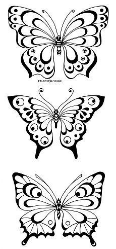 three butterflies with different shapes and sizes on their wings, one is black and white