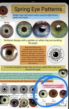 Summer Eye Patterns, Color Season Eye Pattern, Seasonal Eye Patterns, Spring Eye Pattern Color Analysis, Bright Winter Eyes, Seasonal Color Analysis Eyes, Light Spring Eyes, Eye Color Season Analysis, Winter Eye Pattern