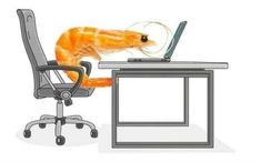 a shrimp sitting at a desk with a laptop on it