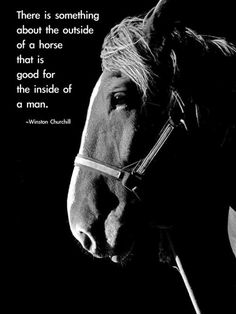 there is something about the outside of a horse that is good for the inside of a man