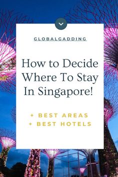 the gardens in singapore with text overlaying how to decide where to stay in singapore