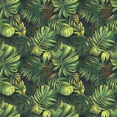 a green and yellow leafy pattern on a black background