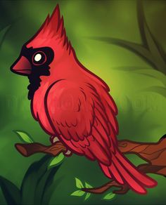 a red bird sitting on top of a tree branch