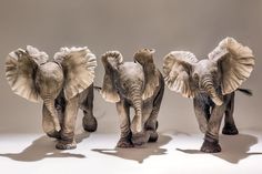 three statues of elephants standing next to each other in front of a white wall with shadows on it