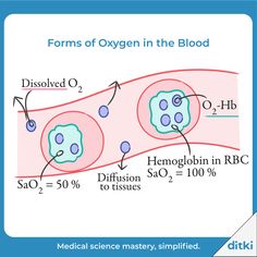 the diagram shows different stages of oxygen in the blood