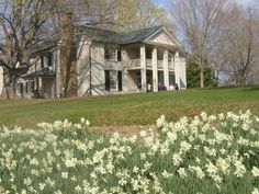 a large white house sitting on the side of a lush green field filled with flowers