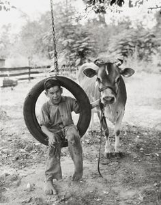 A Boy on a Tire Swing and Cow-Farm Photo Oh Brother Where Art Thou, Southern Words, Farm Prints, Brother Where Art Thou, Pet Cows, Farm Themed Party, Western Prints, Jersey Cow, Tire Swing