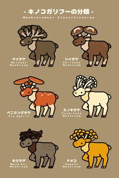 an animal poster with different types of animals in japanese characters, including deers and moose