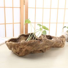 a wooden bowl with plants in it on a table