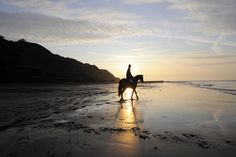 a person riding a horse on the beach at sunset