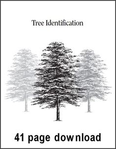 a book cover with trees in the background and text that reads,'tree identification '