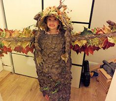 44 Dress Like a Tree ideas | arbour day, tree costume, morton arboretum