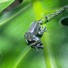 A sterling silver frog necklace from me to you!! <3 This piece is carefully hand carved out of wax and cast in sterling silver Silver Finish Oxidized to blacken the recesses and taken up to a high polish *Gold vermeil option available for an additional fee Care Instructions This piece is made from solid sterling silver, so it's very durable and made to last! If you want to give your ring a little TLC, I recommend a gentle scrub with dish soap and a soft toothbrush.  Made to Order/Processing Time Green Tree Frog, Frog Jewelry, Frog Necklace, Frog Gifts, Dart Frog, Tree Frog, Soft Toothbrush, Green Tree, Carving Ideas