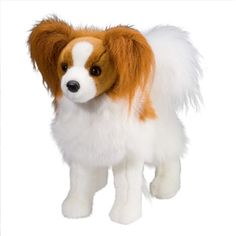 a brown and white dog with long hair