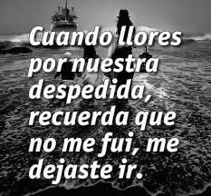 a black and white photo with the words guardo flores por nuestra despedida