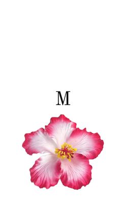 a pink flower with the letter m in it's center on a white background